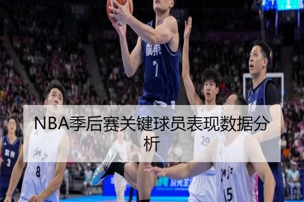 NBA季后赛关键球员表现数据分析