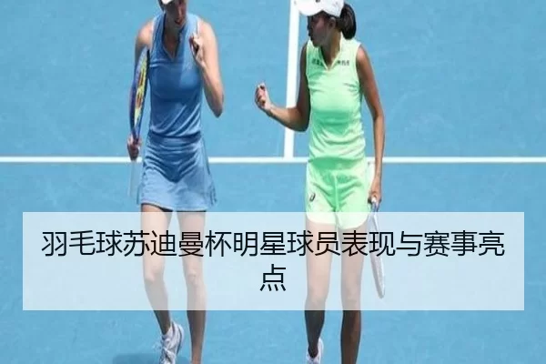 羽毛球苏迪曼杯明星球员表现与赛事亮点